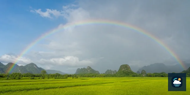Cầu vồng hình thành sau mưa trên cánh đồng Việt Nam